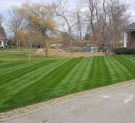 Turn your Niagara outdoors into a work of art.